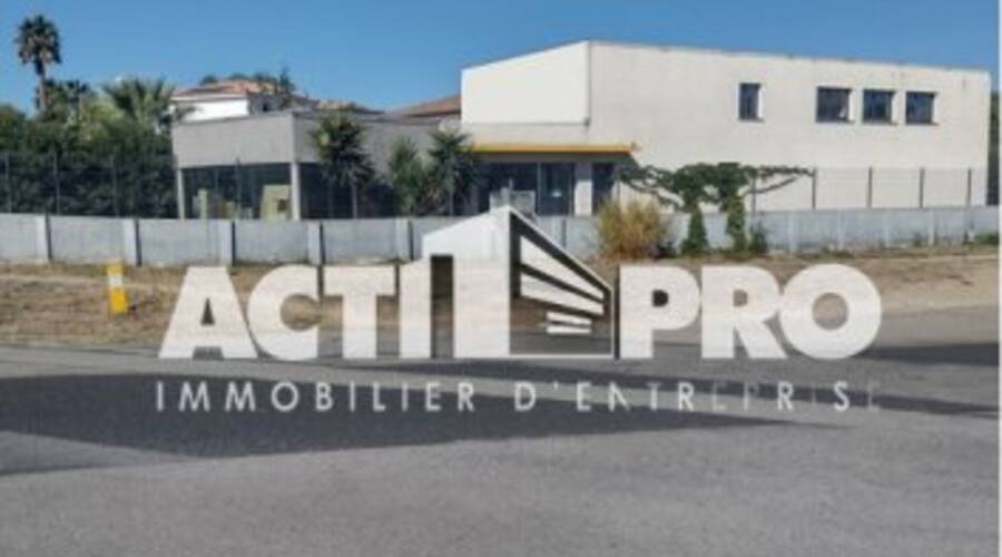 REXIM - Local d'activités - Pyrénées-Orientales - Perpignan - 2