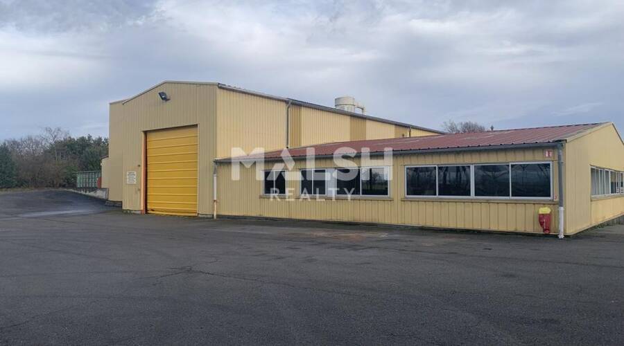 REXIM - Local d'activités - Ain - Saint-Trivier-sur-Moignans - 10