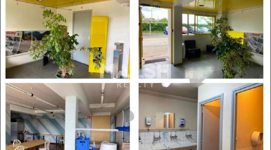 REXIM - Local d'activités - Ain - Saint-Trivier-sur-Moignans - 11