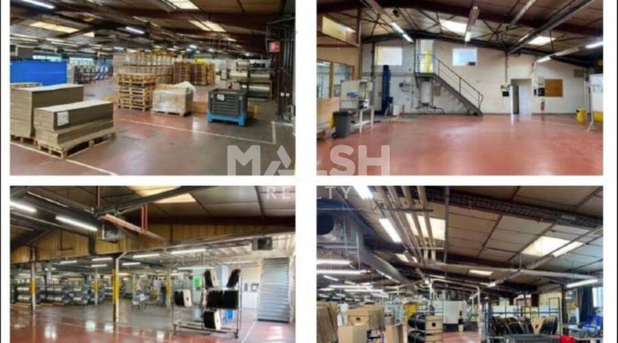 REXIM - Local d'activités - Ain - Saint-Trivier-sur-Moignans - 12