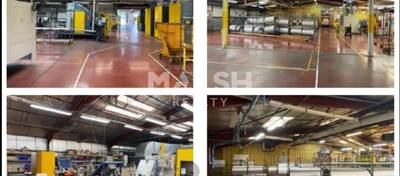 REXIM - Local d'activités - Ain - Saint-Trivier-sur-Moignans - 13
