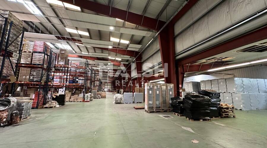 REXIM - Local d'activités - Isère - Nivolas-Vermelle - 7