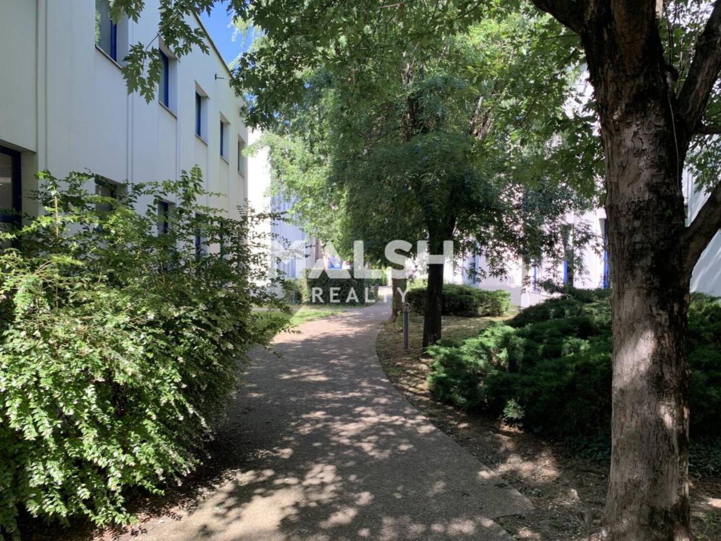 REXIM - Bureau - Rhône - Villeurbanne - 2