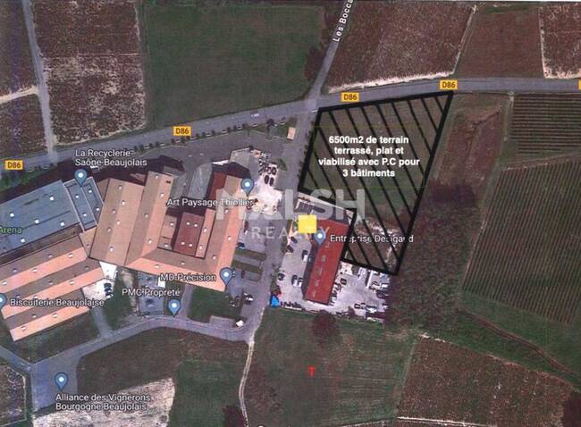 REXIM - Terrain - Rhône - Lancié - 1