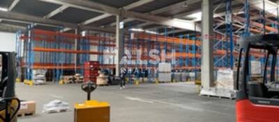 REXIM - Local d'activités - Isère - Saint-Quentin-Fallavier - 2