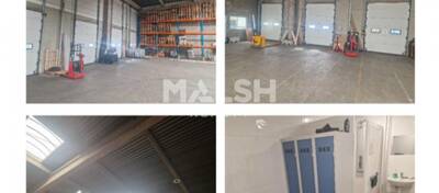 REXIM - Local d'activités - Isère - Saint-Quentin-Fallavier - 9