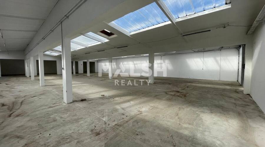 REXIM - Local d'activités - Rhône - Villeurbanne - 2