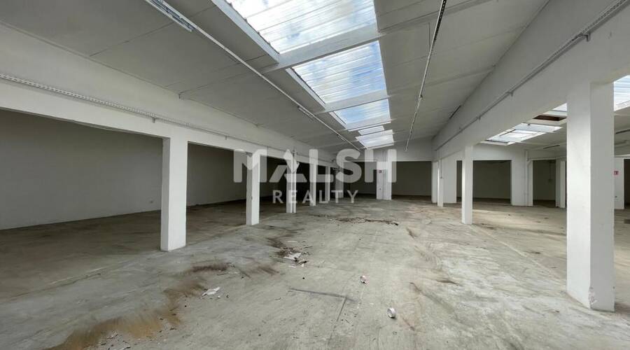 REXIM - Local d'activités - Rhône - Villeurbanne - 3