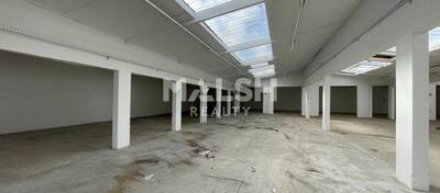 REXIM - Local d'activités - Rhône - Villeurbanne - 3