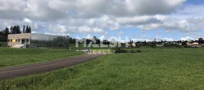 REXIM - Terrain - Saône-et-Loire - Amanzé - 4