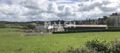 REXIM - Terrain - Saône-et-Loire - Amanzé - 12