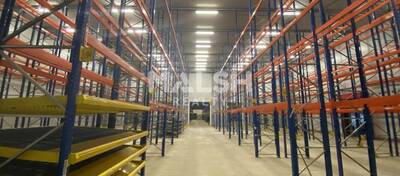 REXIM - Local d'activités - Rhône - Alix - 11