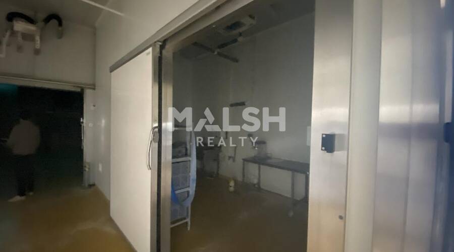 REXIM - Local d'activités - Rhône - Alix - 10