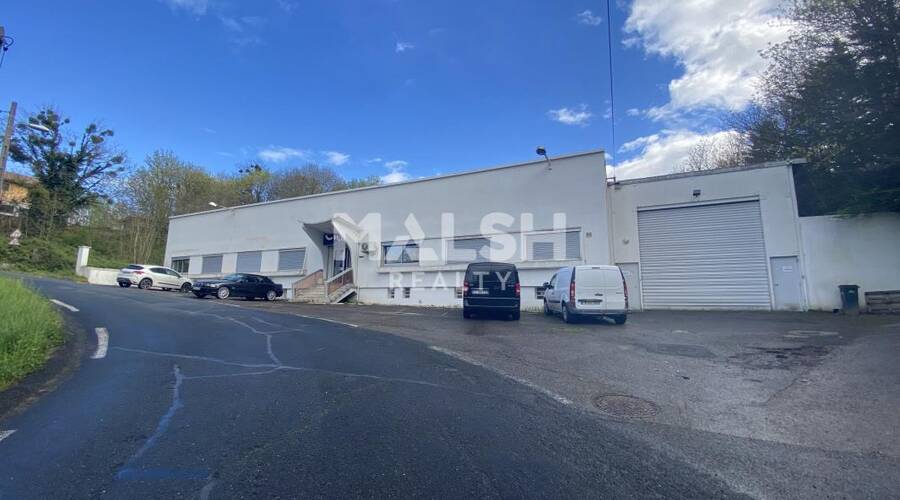 REXIM - Local d'activités - Rhône - Fontaines-sur-Saône - 1