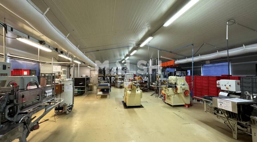 REXIM - Local d'activités - Loire - Chambon-Feugerolles - 7