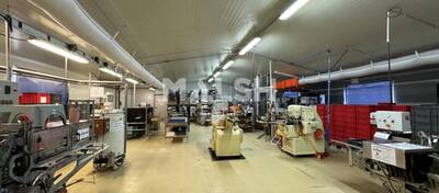 REXIM - Local d'activités - Loire - Chambon-Feugerolles - 7