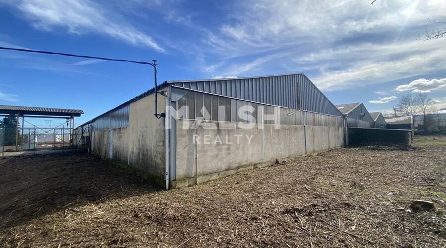 REXIM - Local d'activités - Ain - Jassans-Riottier - 9