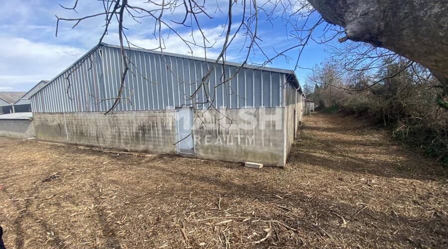 REXIM - Local d'activités - Ain - Jassans-Riottier - 10