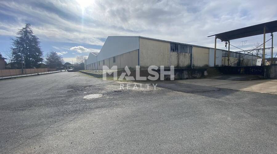 REXIM - Local d'activités - Ain - Jassans-Riottier - 12