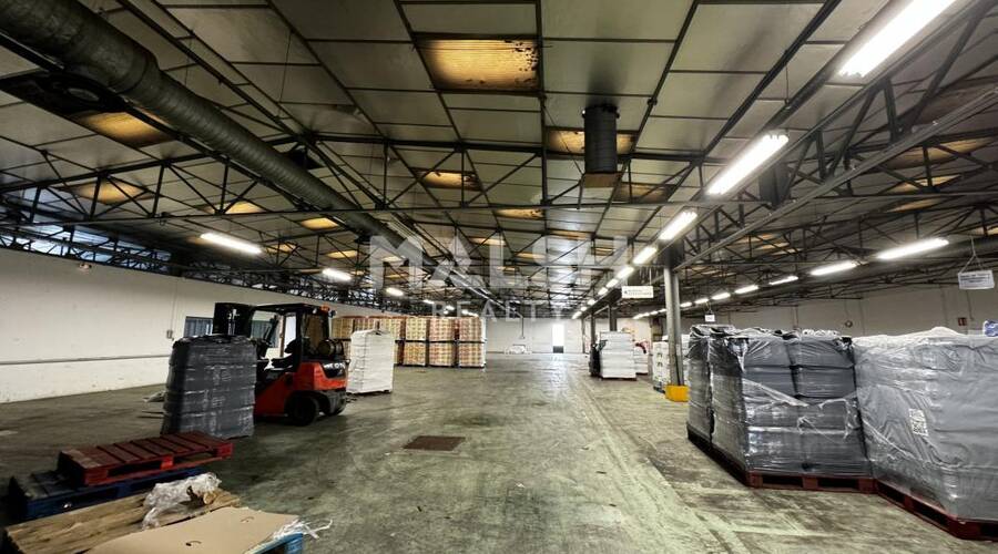 REXIM - Local d'activités - Ain - Beynost - 2