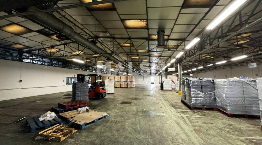 REXIM - Local d'activités - Ain - Beynost - 4