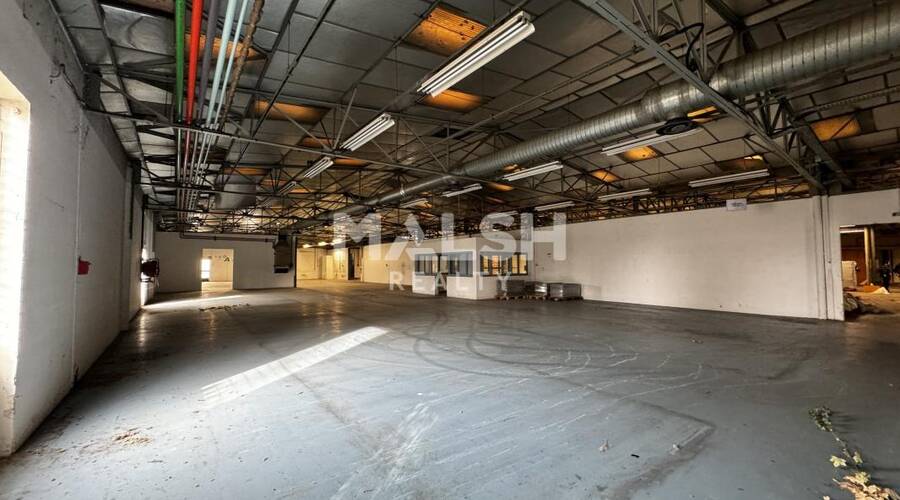 REXIM - Local d'activités - Ain - Beynost - 6