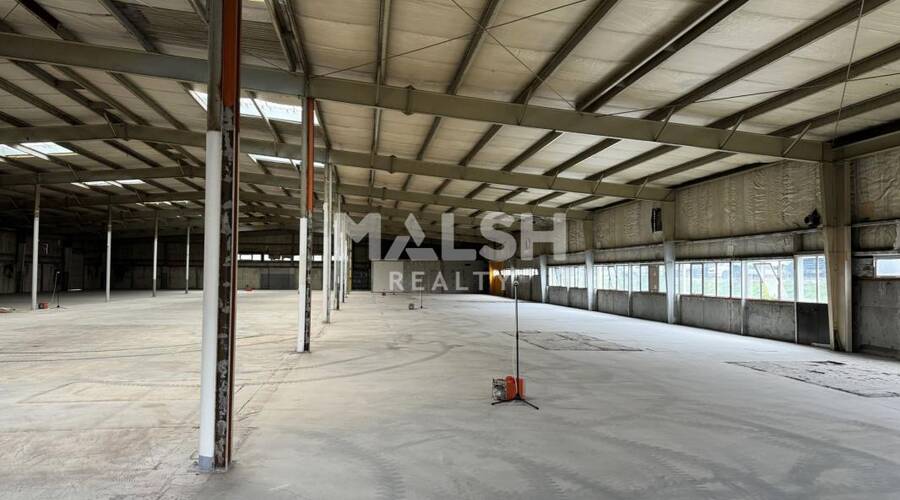 REXIM - Local d'activités - Loire - Saint-Étienne - 1