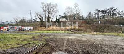 REXIM - Local d'activités - Loire - Saint-Étienne - 3