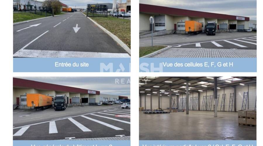 REXIM - Local d'activités - Rhône - Corbas - 11