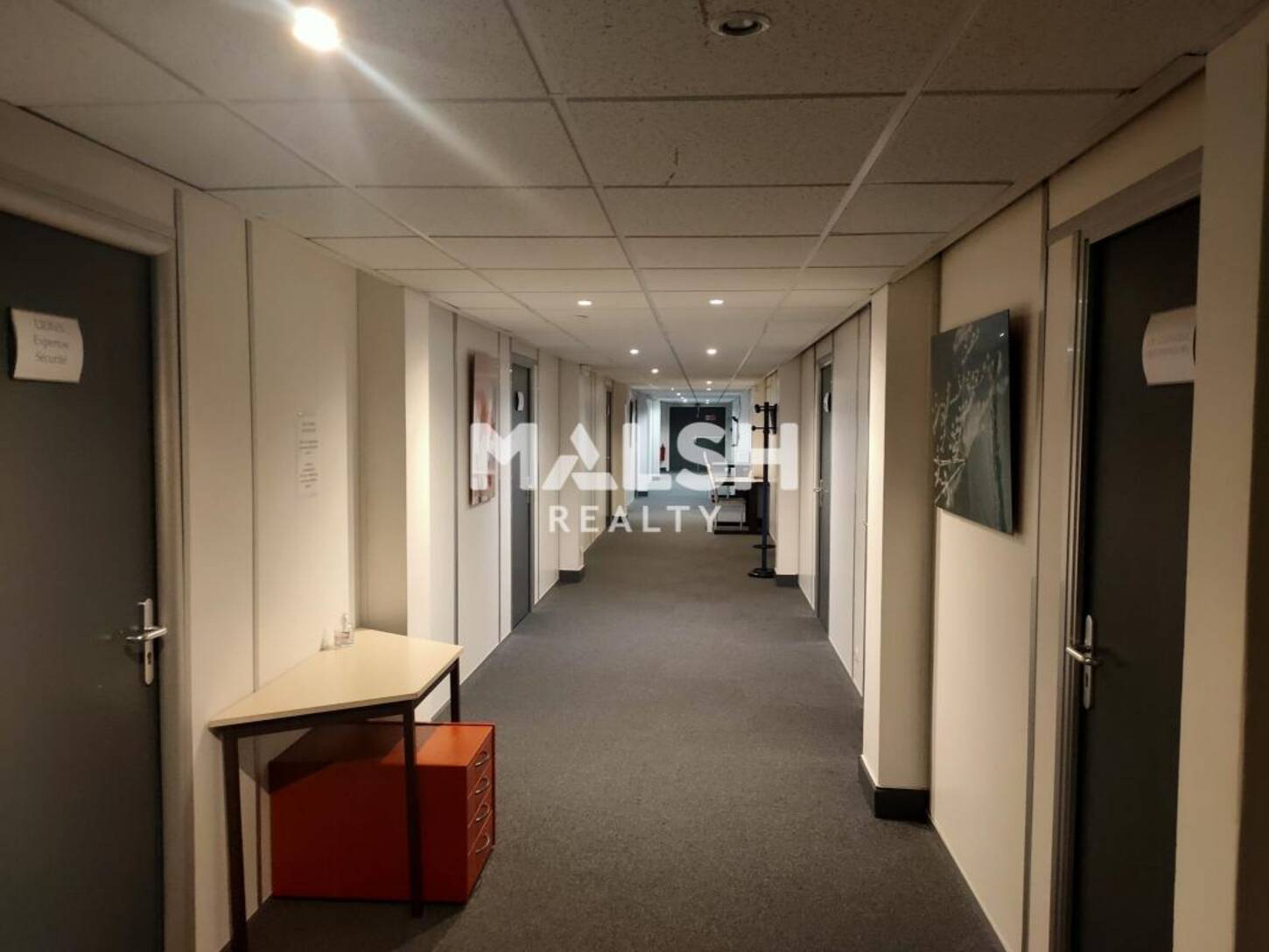 REXIM - Bureau - Rhône - Écully - 2