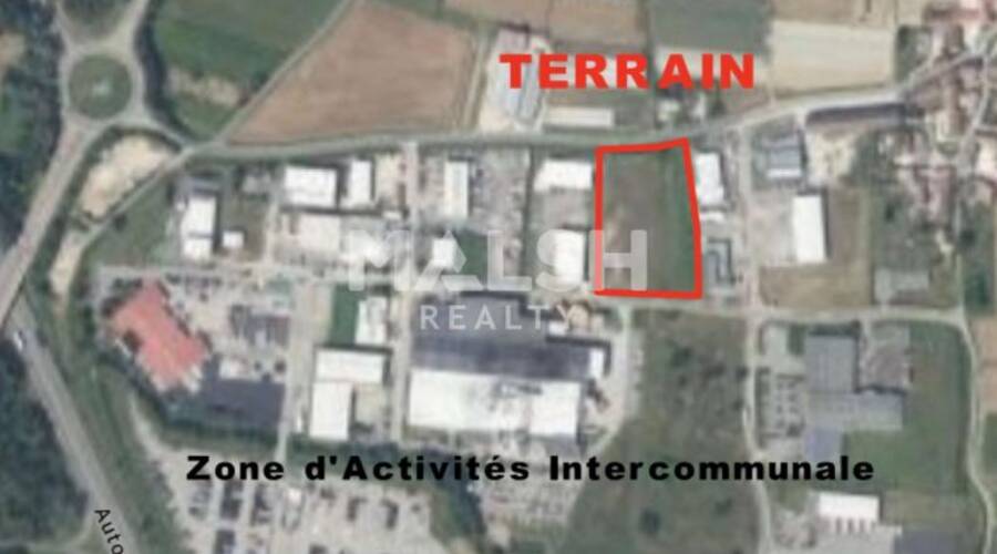 REXIM - Terrain - Ain - Feillens - 1
