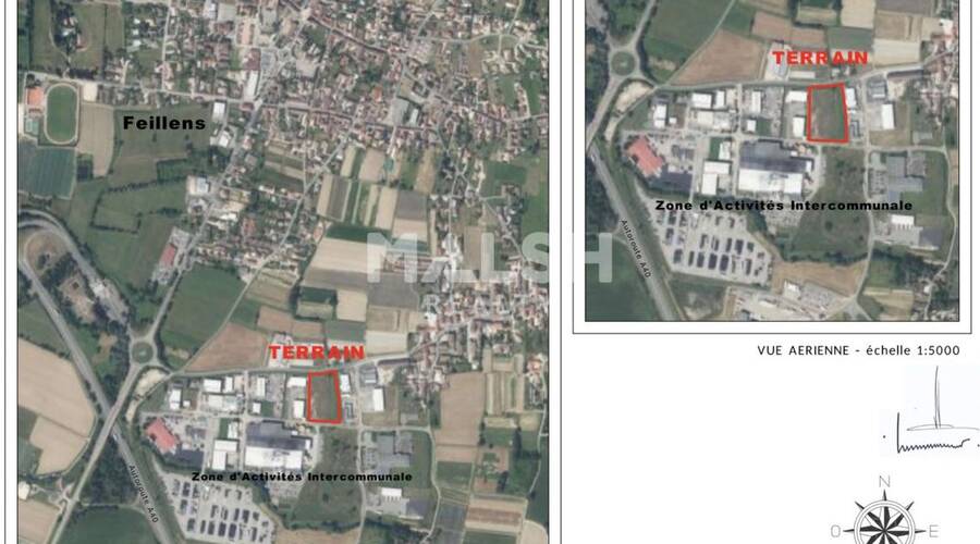 REXIM - Terrain - Ain - Feillens - 2