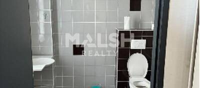 REXIM - Local d'activités - Isère - Saint-Quentin-Fallavier - 7