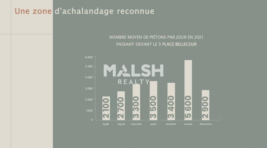 REXIM - Bureau - Rhône - Lyon - 3