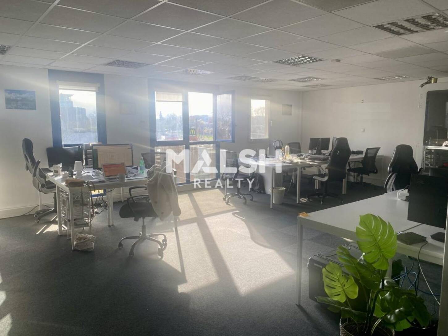 REXIM - Bureau - Rhône - Lyon - 2