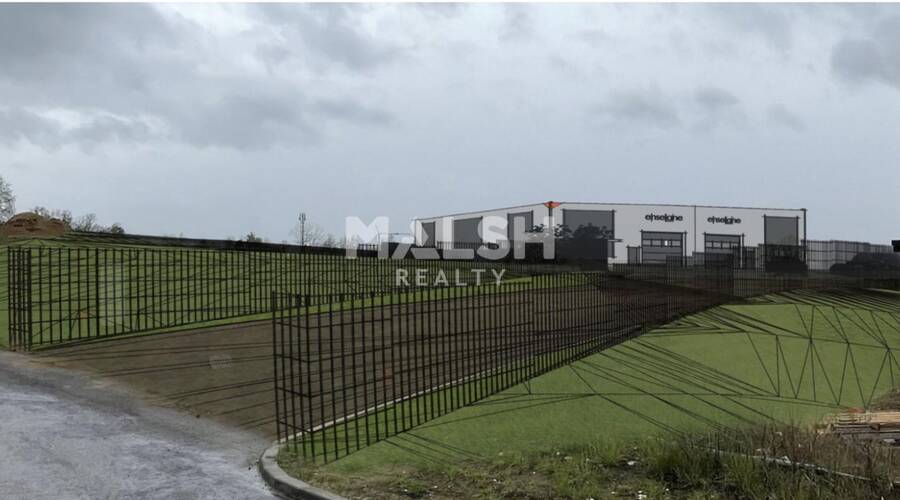 REXIM - Local d'activités - Ain - Montmerle-sur-Saône - 3