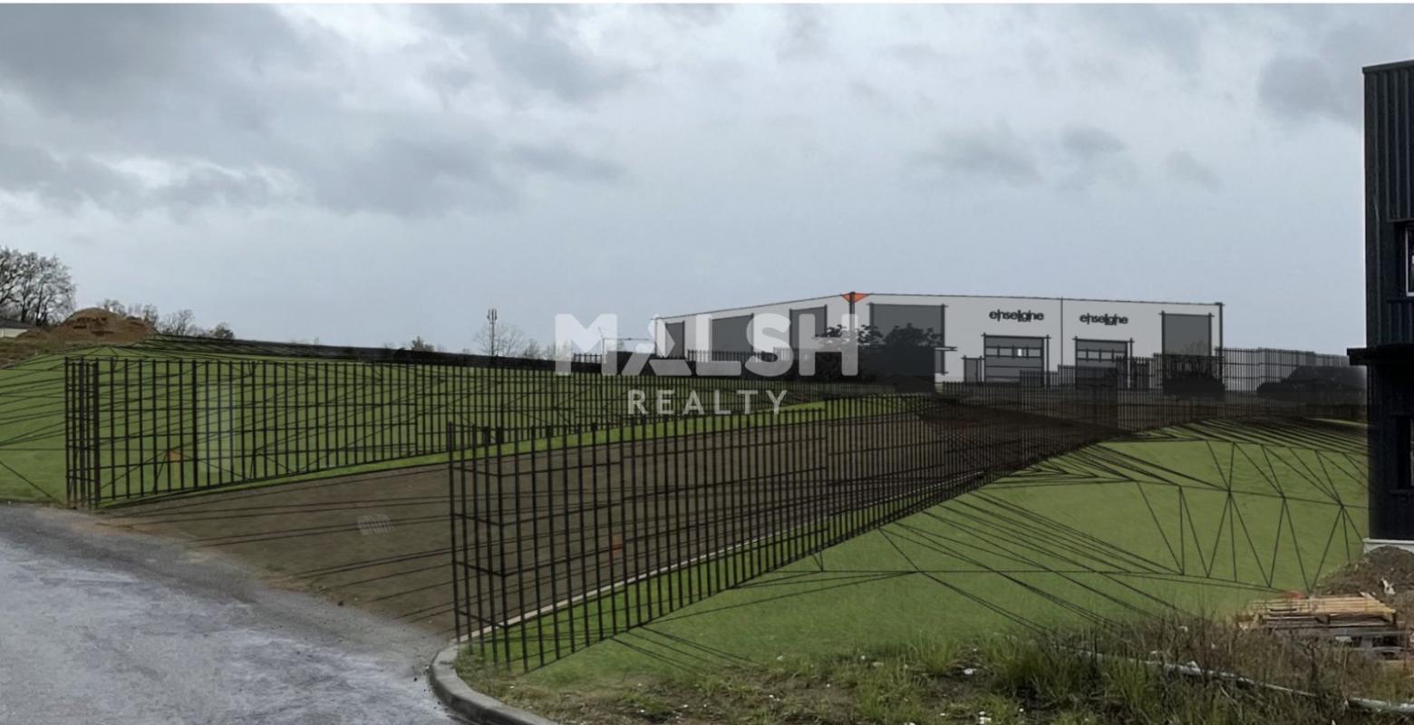 REXIM - Local d'activités - Ain - Montmerle-sur-Saône - 3