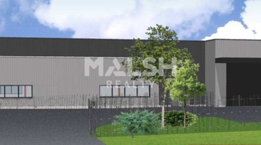 REXIM - Local d'activités - Ain - Guéreins - 3