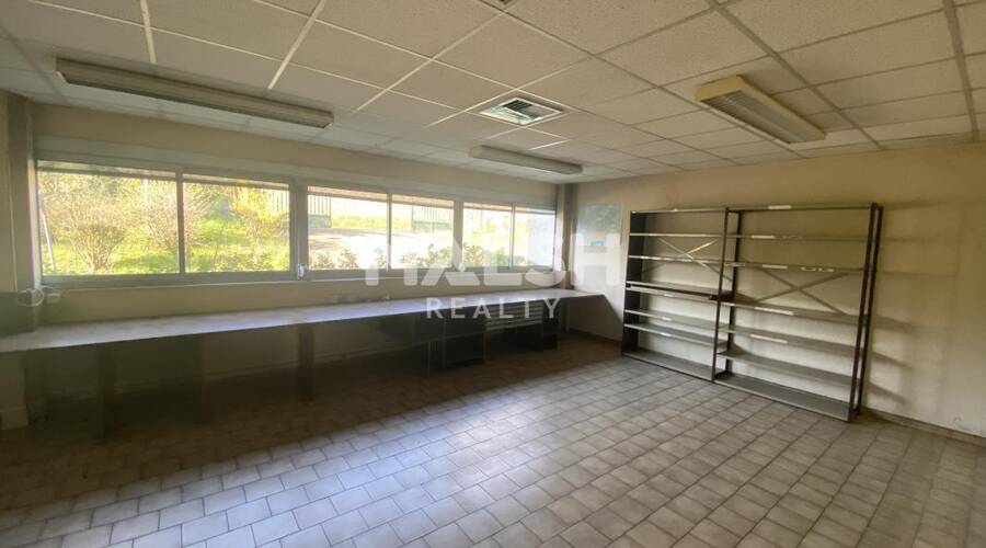 REXIM - Local d'activités - Saône-et-Loire - Berzé-la-Ville - 11