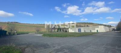 REXIM - Local d'activités - Saône-et-Loire - Berzé-la-Ville - 30