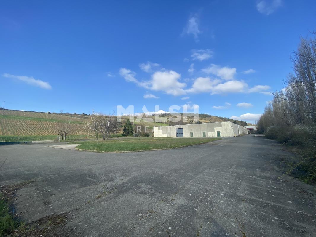 REXIM - Local d'activités - Saône-et-Loire - Berzé-la-Ville - 29