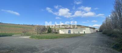 REXIM - Local d'activités - Saône-et-Loire - Berzé-la-Ville - 29