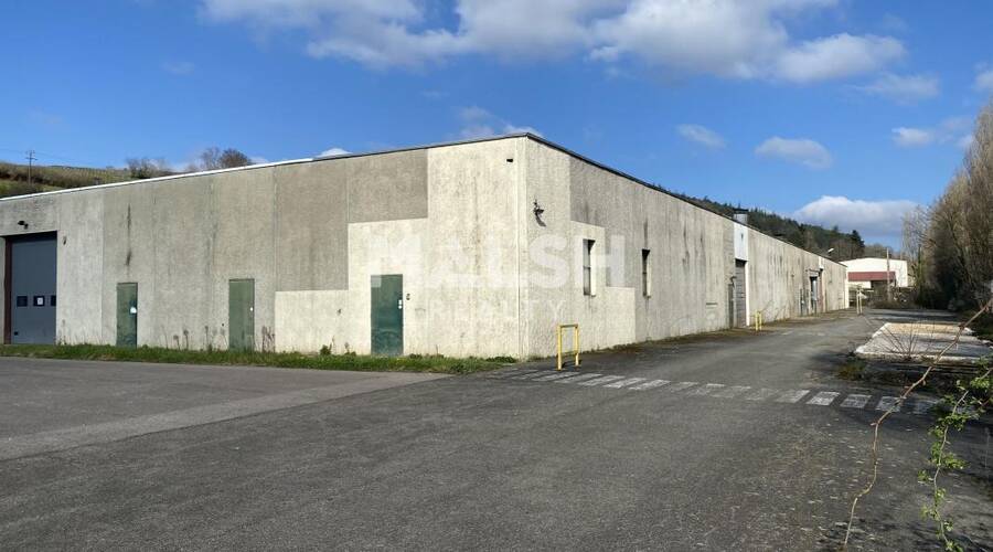 REXIM - Local d'activités - Saône-et-Loire - Berzé-la-Ville - 31