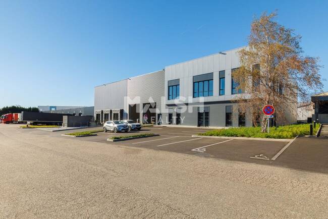 REXIM - Local d'activités - Rhône - Corbas - 1