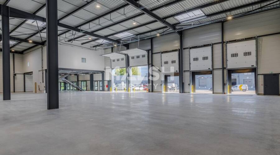 REXIM - Local d'activités - Rhône - Corbas - 10