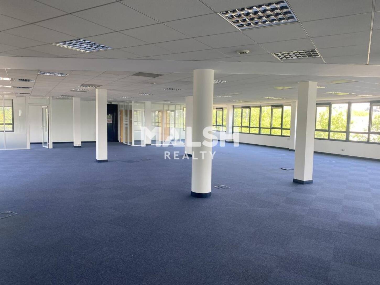 REXIM - Bureau - Rhône - Écully - 2