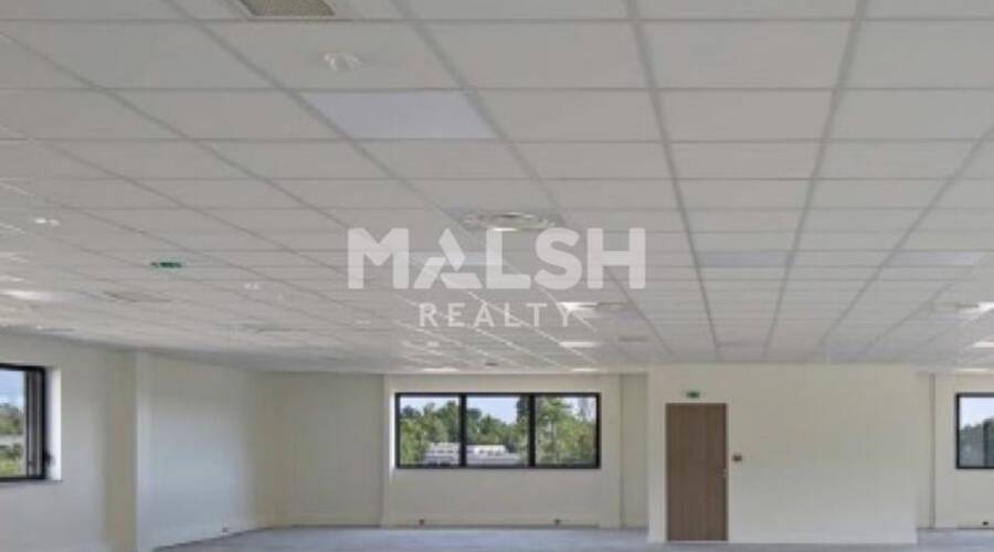 REXIM - Local d'activités - Rhône - Dardilly - 5