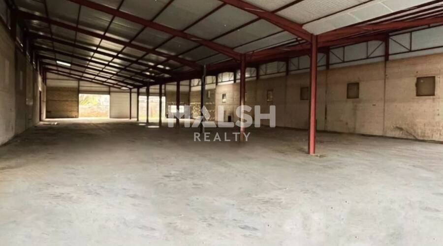 REXIM - Local d'activités - Rhône - Belleville - 2