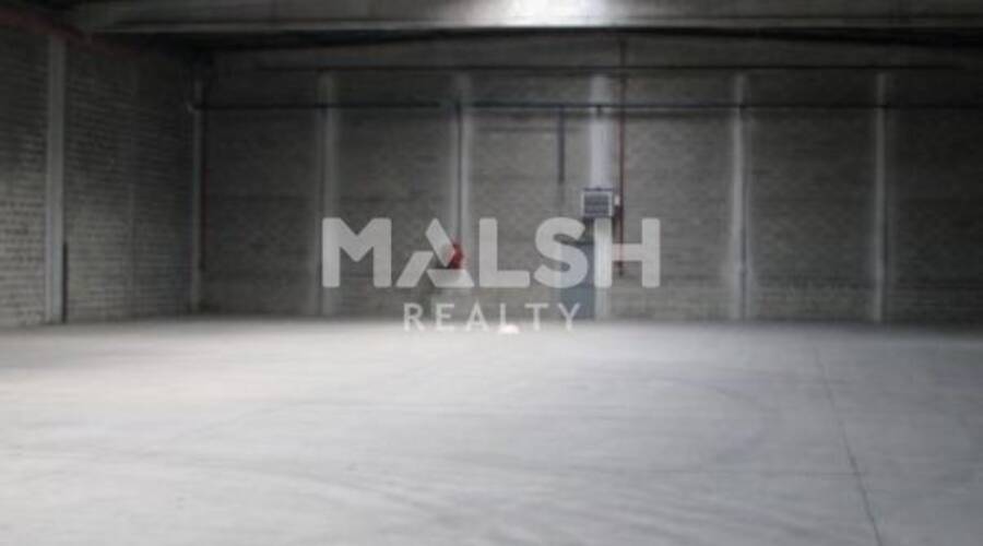 REXIM - Local d'activités - Isère - Saint-Quentin-Fallavier - 4