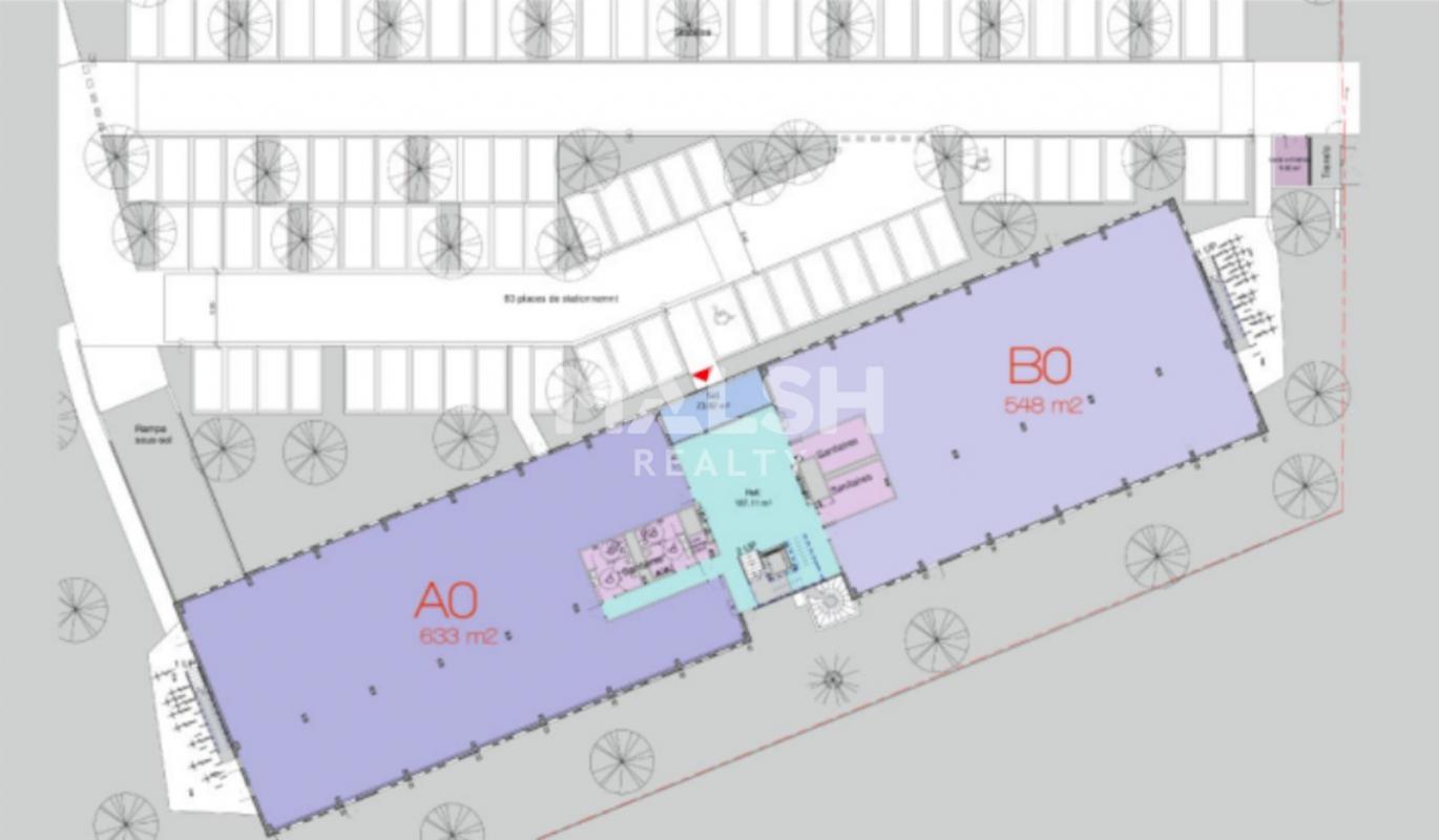 REXIM - Bureau - Rhône - Rillieux-la-Pape - 5